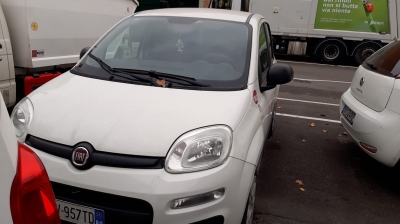 FIAT - EV957TD - 70412